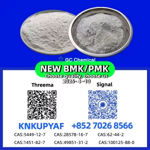 PM.K CAS 28578-16-7 with 5449-12-7 ready stock