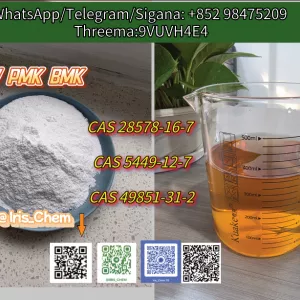 NEW PMK BMK CAS 5449-12-7 Raw Materials Precursor Supply