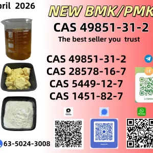 BMK/PMK CAS 49851-31-2