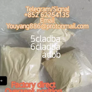 CAS 57801-95-3 Flubrotizolam,CAS 119276-01-6 Protonitazene,CAS 14680-51-4 Metonitazene