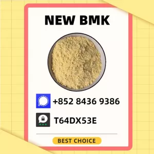 High-End Bulk Supply Chain B.MK CAS 5449-12-7