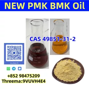 NEW PMK BMK CAS 28578-16-7 Powder Oil Stable Supplier In Stock