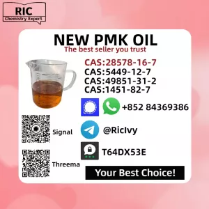 New 5449-12-7 BM.K Powder 28578-16-7 P.MK Oil Doorstep Service