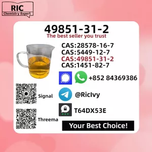 2-Bromovalerophenone 49851-31-2 BM.K 5449-12-7 PM.K 28578-16-7 Source Factory