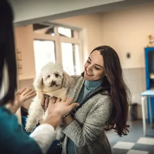 Юнивет - вет клиника Домодедово