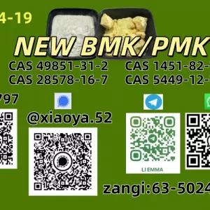 NEW BMK/PMK CAS 49851-31-2