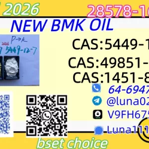 NEW BMK 5449-12-7