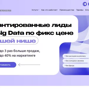 Гарантированные лиды из Big Data по фикс цене
