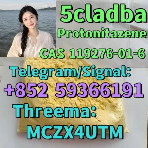 Protonitazene Hydrochloride Cas 119276-01-6, White High Purity Powder