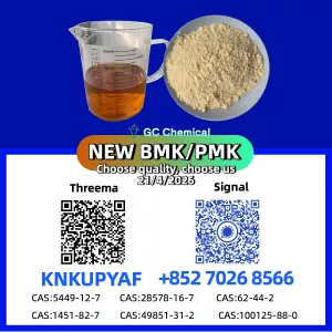 PM.K CAS 28578-16-7 in stock, BM.K CAS 5449-12-7 maintained