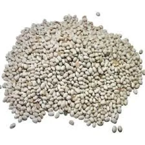 Насіння квасолі Червона Шапочка, Неві Бінс, Ред Кідні, Пінто