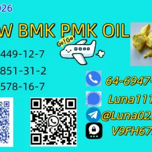 CAS28578-16-7 PMK