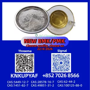 PM.K CAS 28578-16-7 batch ready with BM.K CAS 5449-12-7 and CAS 1451-82-7