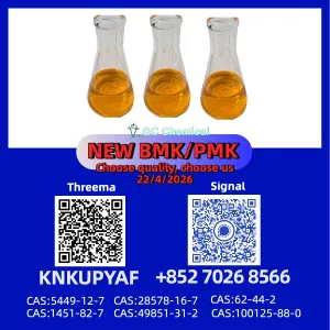 PM.K CAS 28578-16-7 paired with BM.K CAS 5449-12-7 supply