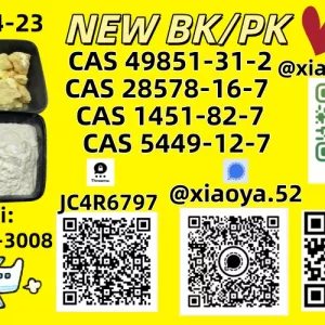 Original Factory 49851-31-2 B.MK P.MK Supply 5449-12-7 28578-16-7