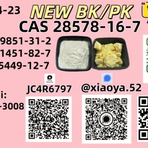 AS: 28578-16-7,New P.MK Powder/Oil