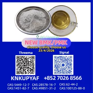 PM.K CAS 28578-16-7 steady stock BM.K 5449-12-7