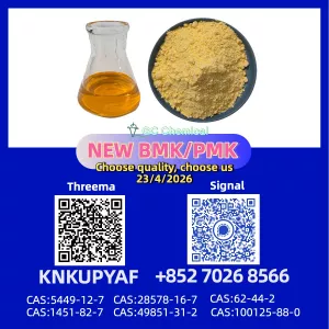 On-Time pm.k 28578-16-7 with CAS 28578-16-7