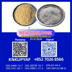 Reliable Orders 28578-16-7 PM.K Fast Service BM.K 5449-12-7