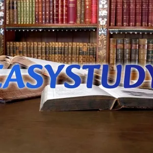 Замовити реферат дипломної роботи в Україні