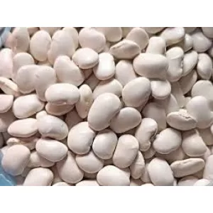 Купуємо квасолю на переробку, консервування. Самовивіз по Україні