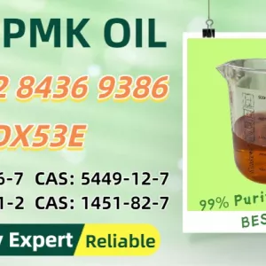 Dependable Factory Stock CAS28578-16-7 B.MK Powder 5449-12-7