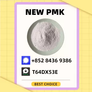 Secure Factory Supply Chain New P.MK CAS 28578-16-7 + B.MK