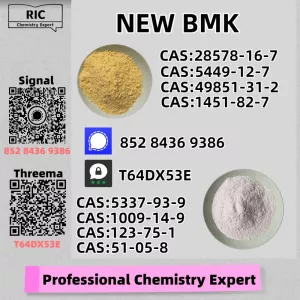 Backup Factory Availability B.MK Powder 28578-16-7 P.MK