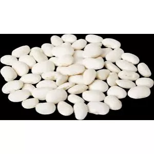 Закупівля квасолі для консервного виробництва