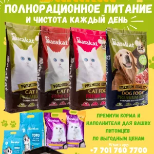 Barakat — премиум питание и уход для ваших питомцев.