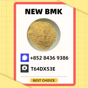 The seller with the strongest integrity 5449-12-7 B.MK Powder