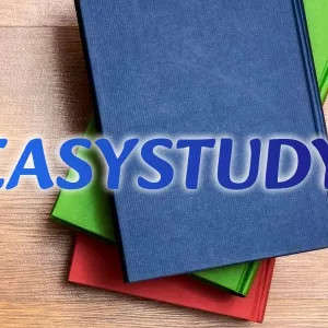 Замовити розробку стартапу до дипломної роботи в Україні