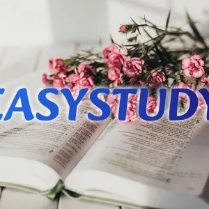 Замовити розділ монографії в Україні