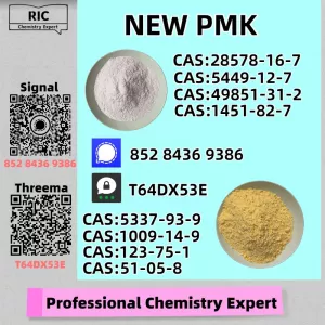 Safety-First Production – Direct Primary Source New P.MK CAS 28578-16-7