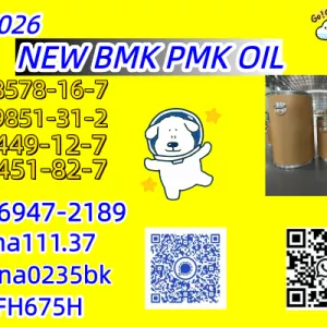 The go-to seller for reliability BMK 5449-12-7/28578-16-7 PMK
