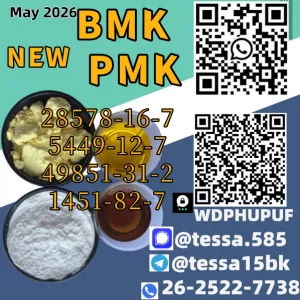 Ethyl Glycidate 28578-16-7 New PMK Power BMK 5449-12-7