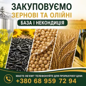 Закупівля зернових та олійних культур (база та некондиція)