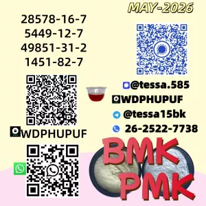 Prime Shipping ️ B.MK 5449-12-7 Purity: 99% 28578-16-7 p.m.k