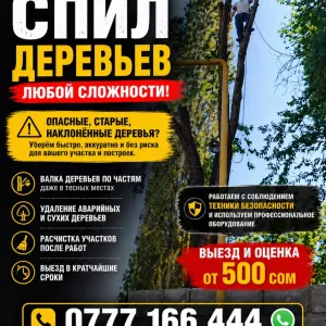 Профессиональное спиливание деревьев любой сложности!
