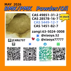 Original Factory 28578-16-7 49851-31-2 BMK PMK Supply 5449-12-7