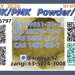 New 5449-12-7 BMK Powder 28578-16-7 PMK Oil Doorstep Serviceadashgfhfd521512