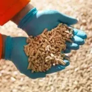 Гранула та пелета з дерева
