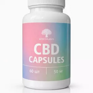 CBD капсулы 25 мг — премиум-поддержка баланса и спокойствия