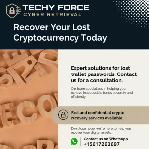Top Ways On How To Recover Stolen Cryptocurrency - Ultimate Crypto Recovery Service by TechY Force Cyber Retrieval