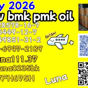 Best Price CAS 28578-16-7CAS 49851-31-2 High Purity B.MK