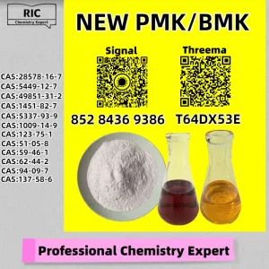 Dual-clearance door-to-door delivery guaranteed P.MK CAS 28578-16-7 P.MK Oil5449-12-7