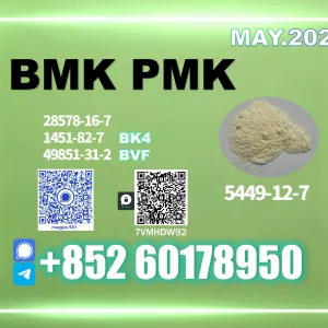 New B.MK CAS 5449-12-7 PM.K CAS 28578-16-7 Top factory