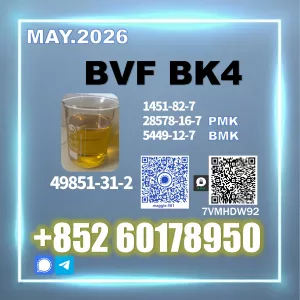 BVF 49851-31-2 Best Quality Bk4 | Supplier Maggie Yao
