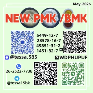 New BM.K 5449-12-7  P.MK 28578-16-7 Factory Direct Chemical Supplier 