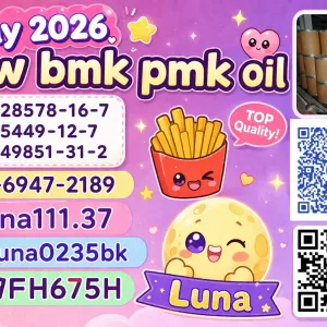 new 5449-12-7 BMK Chemical Supplier 28578-16-7 PMK